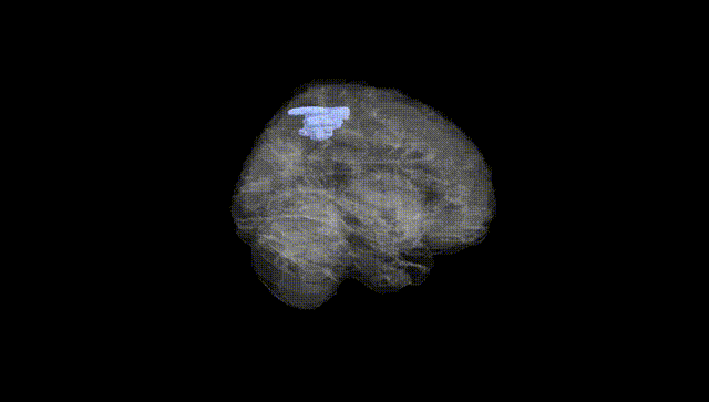 Full Brain Black