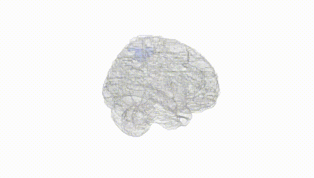 Full Brain White