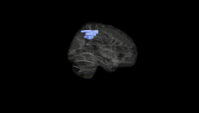 Hemisphere Black