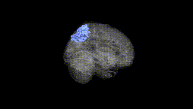 Full Brain Black