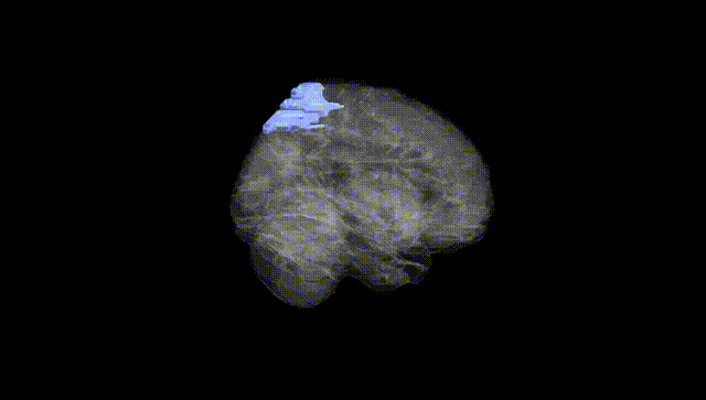 Full Brain Black