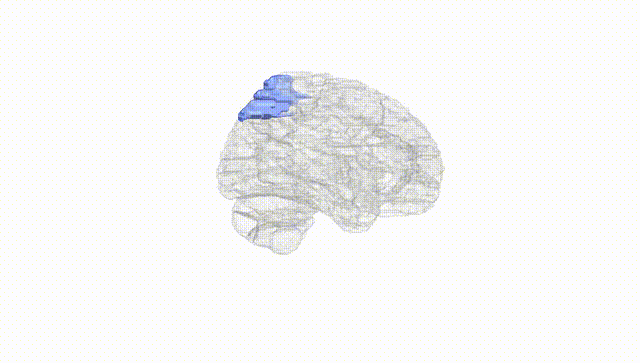 Hemisphere White