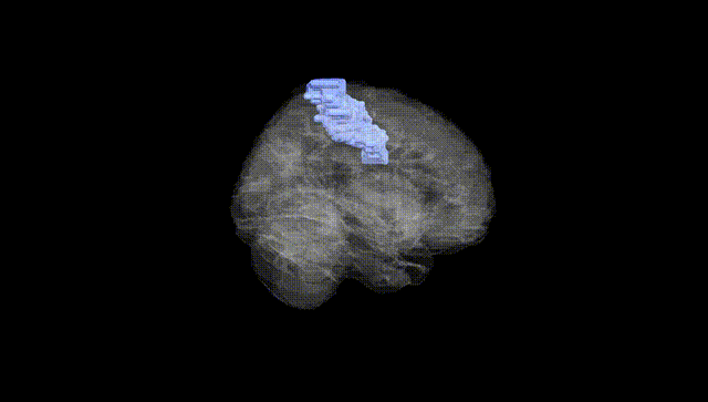 Full Brain Black
