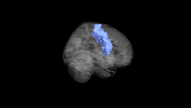 Full Brain Black