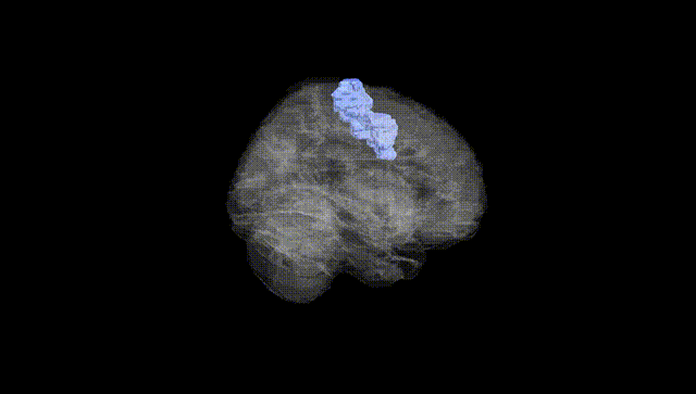Full Brain Black