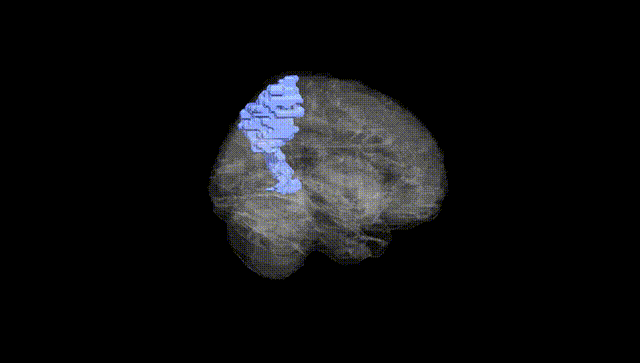 Full Brain Black