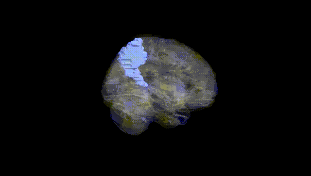 Full Brain Black