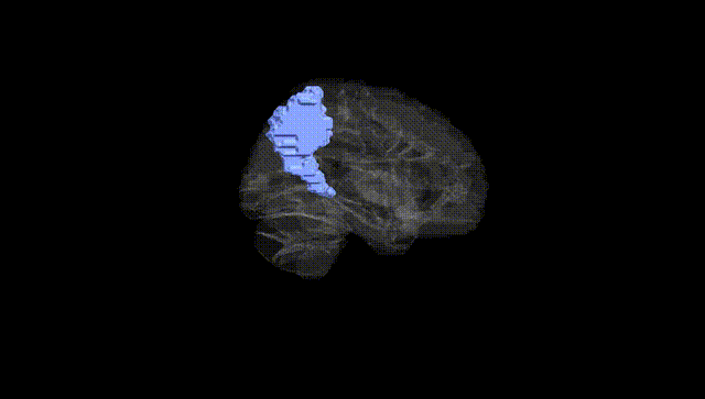 Hemisphere Black