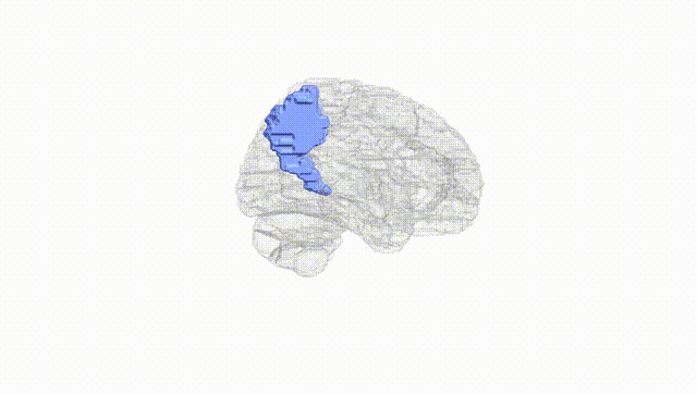 Hemisphere White