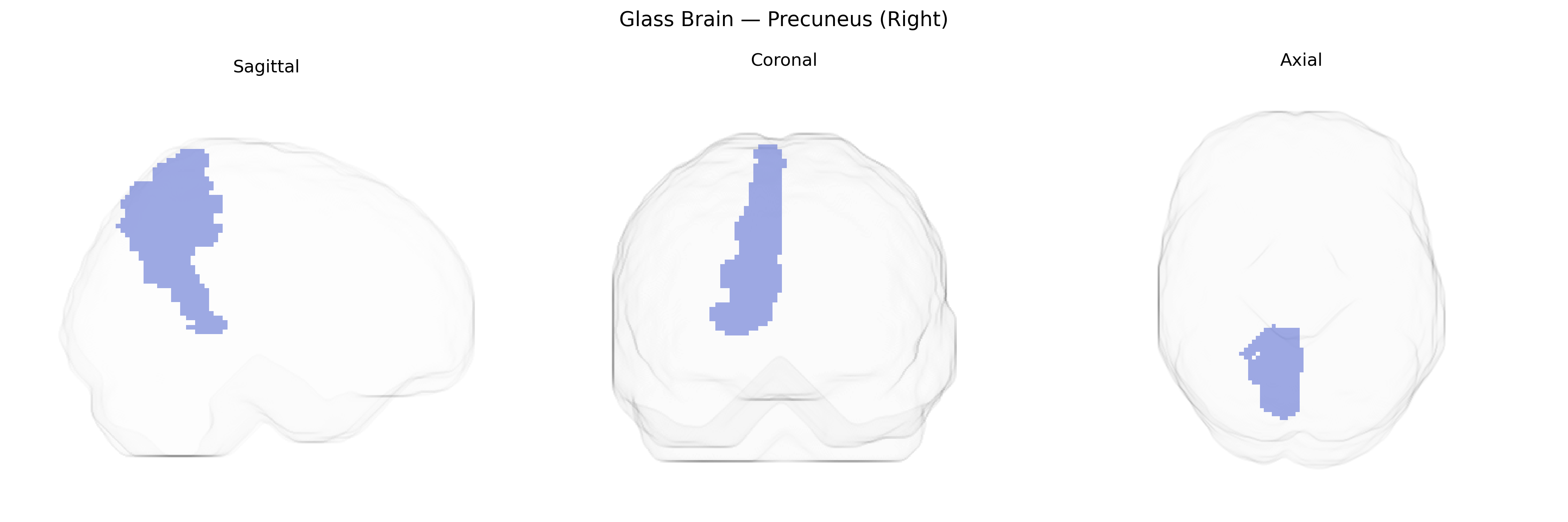 Triplanar Ghost Brain