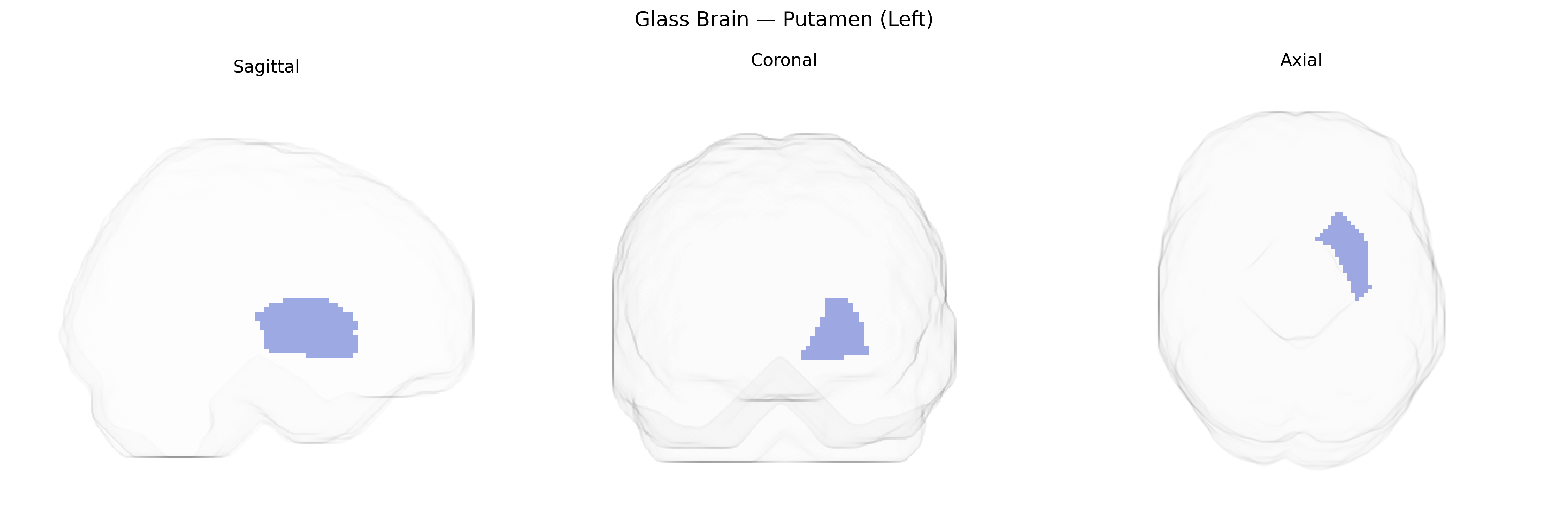 Triplanar Ghost Brain