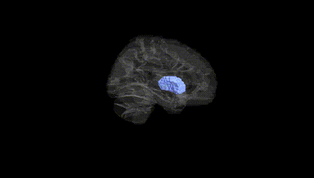 Hemisphere Black