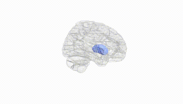 Hemisphere White