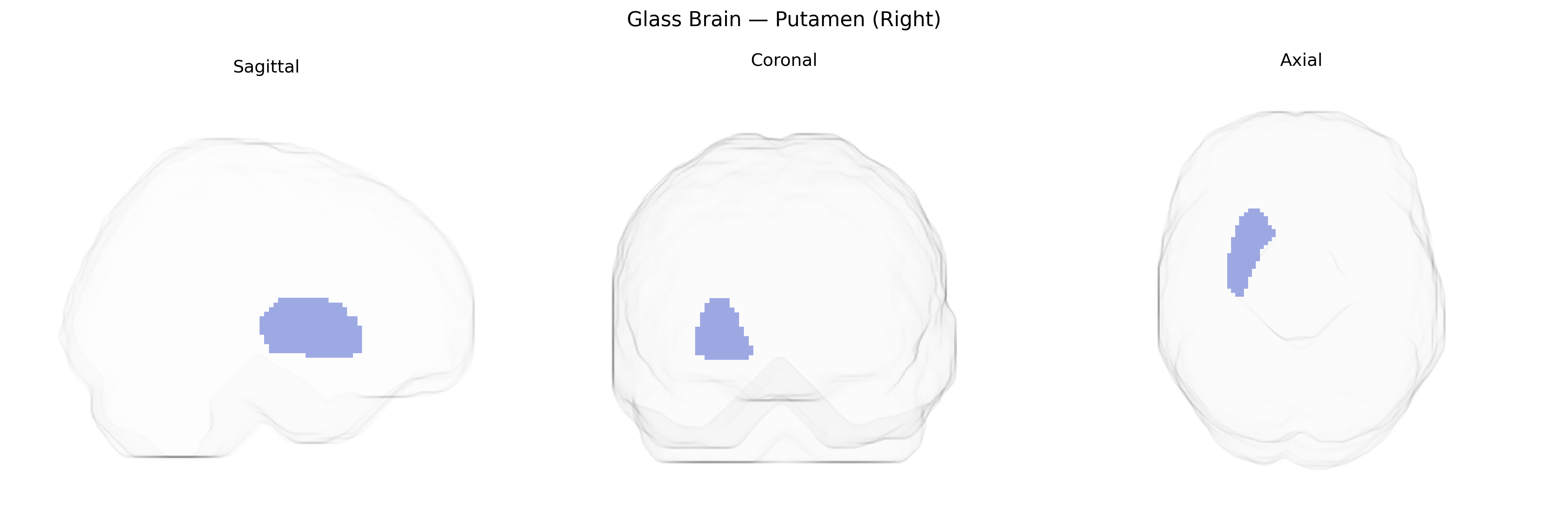 Triplanar Ghost Brain