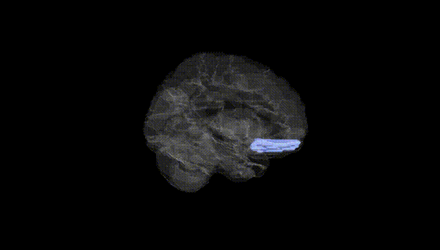 Hemisphere Black