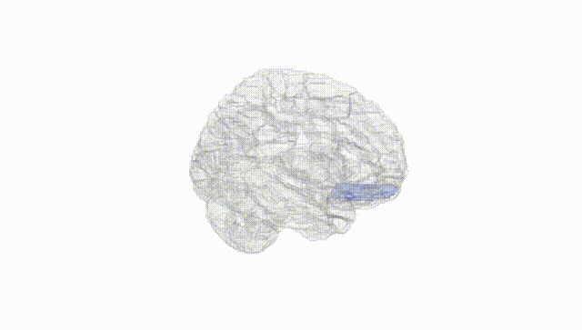 Hemisphere White