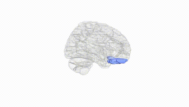 Hemisphere White