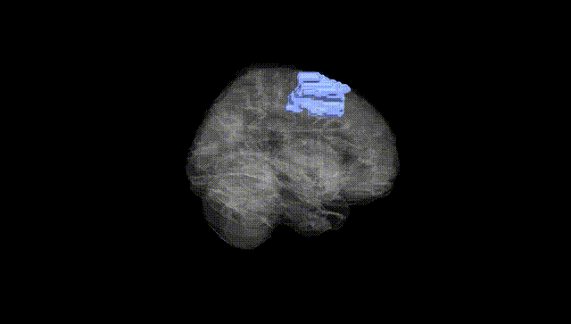 Full Brain Black