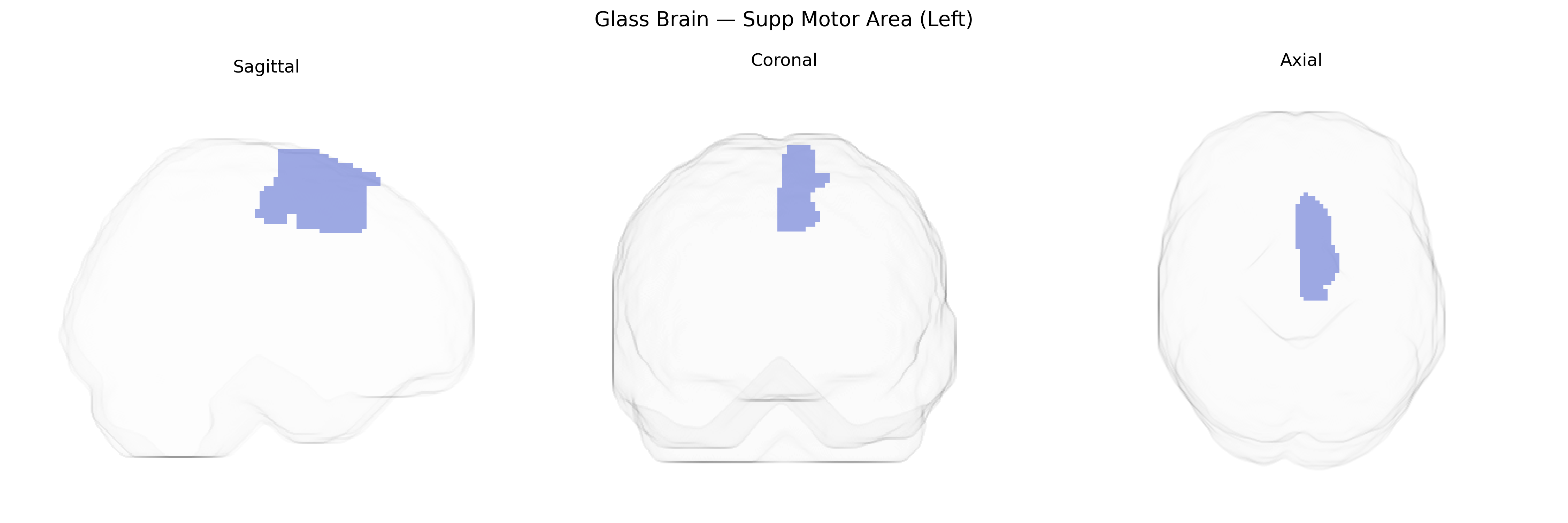 Triplanar Ghost Brain