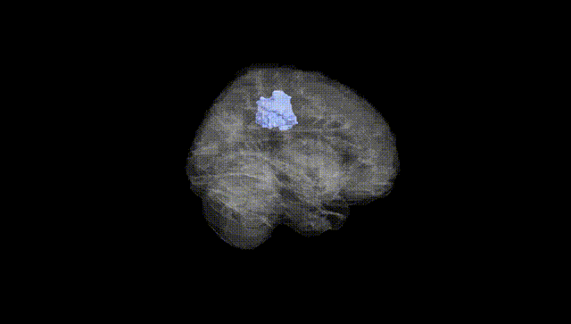 Full Brain Black