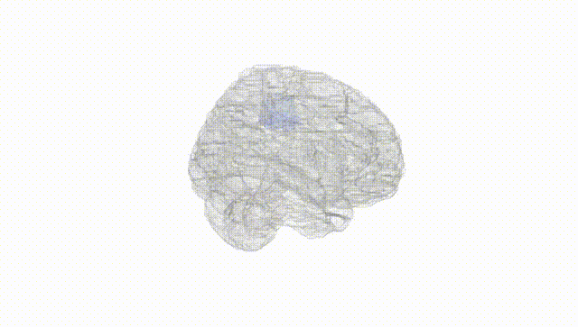 Full Brain White