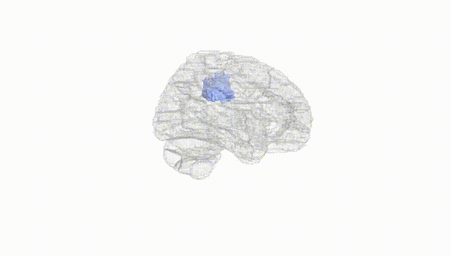 Hemisphere White