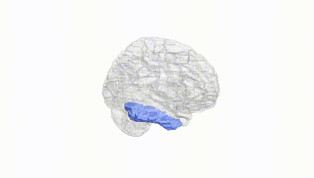 Hemisphere White