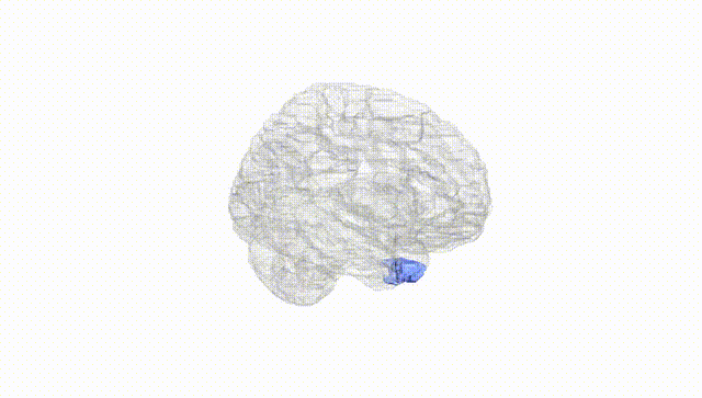 Hemisphere White