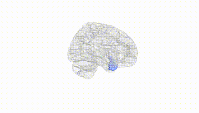 Hemisphere White