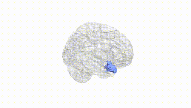 Hemisphere White