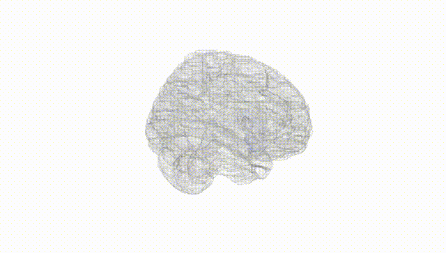 Full Brain White