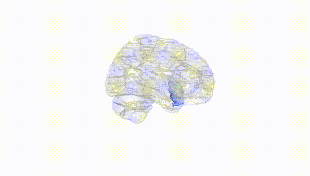 Hemisphere White