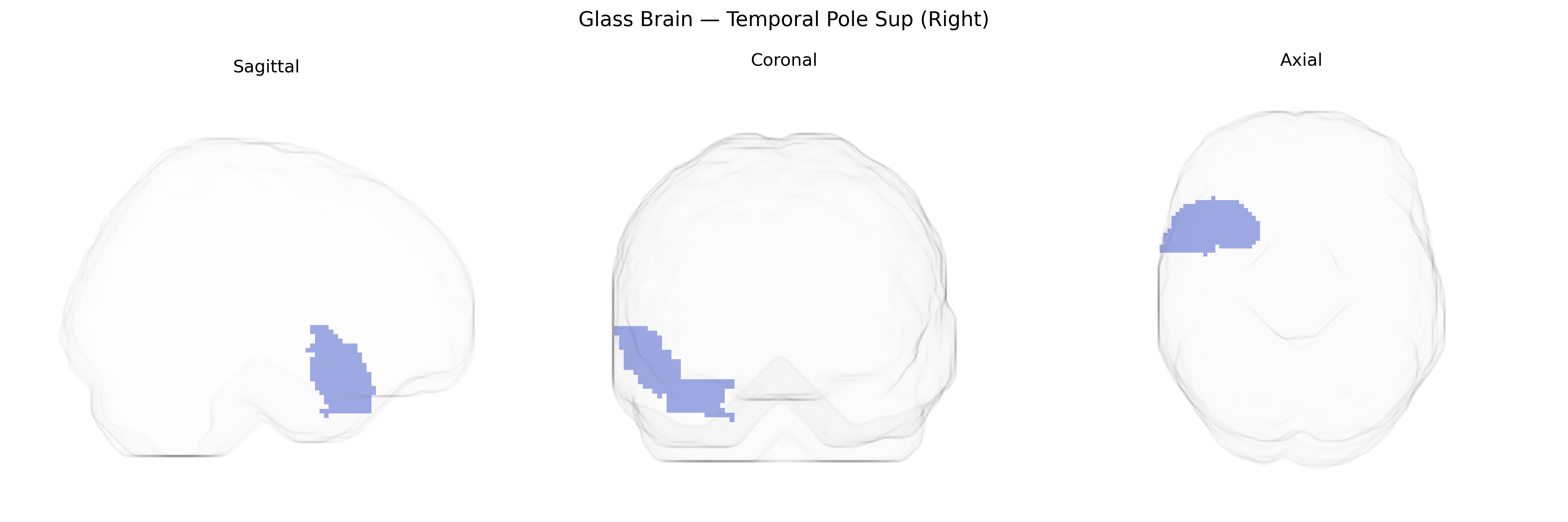 Triplanar Ghost Brain