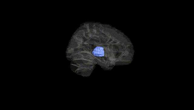 Hemisphere Black