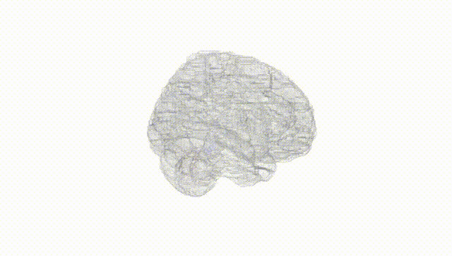 Full Brain White