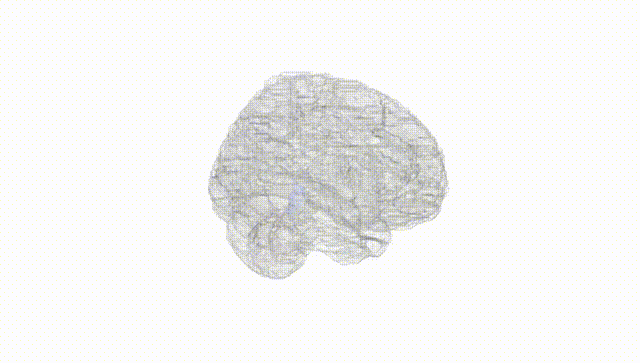 Full Brain White