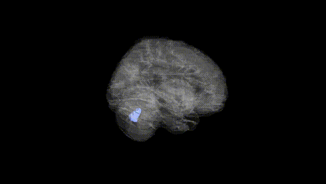 Full Brain Black