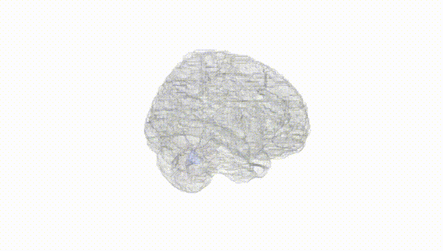 Full Brain White