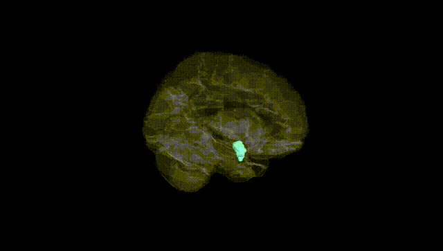 Hemisphere Black