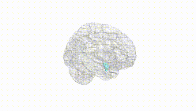 Hemisphere White