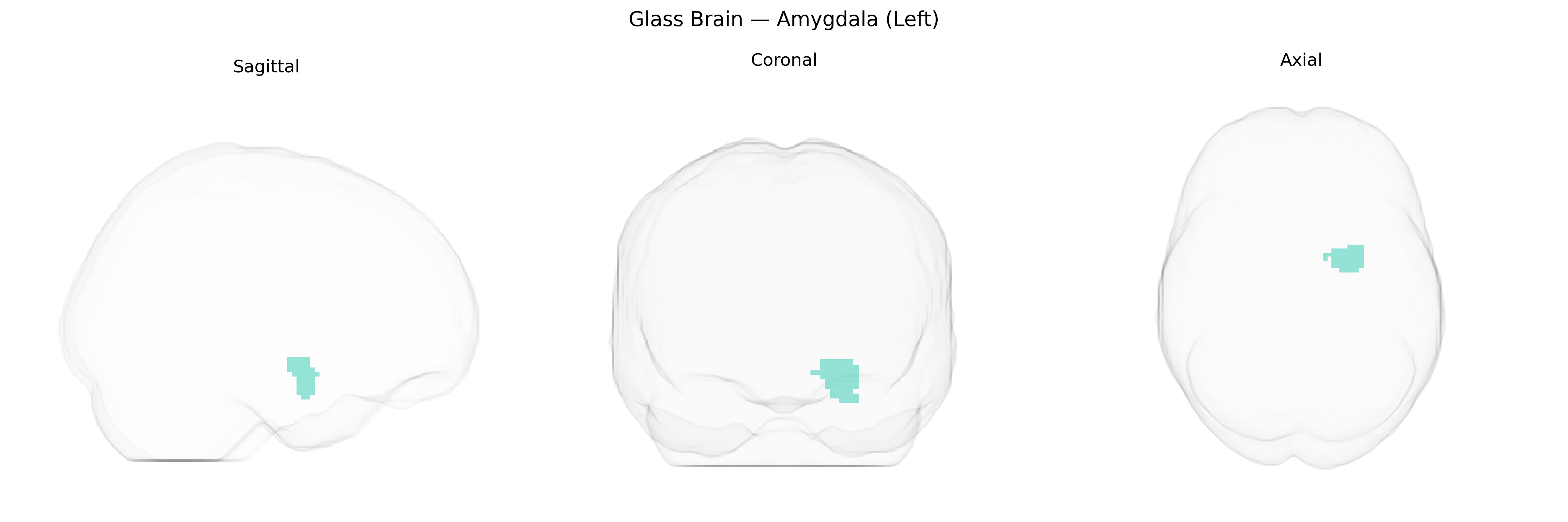 Triplanar Ghost Brain