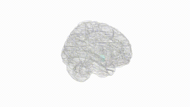 Full Brain White