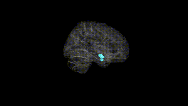 Hemisphere Black