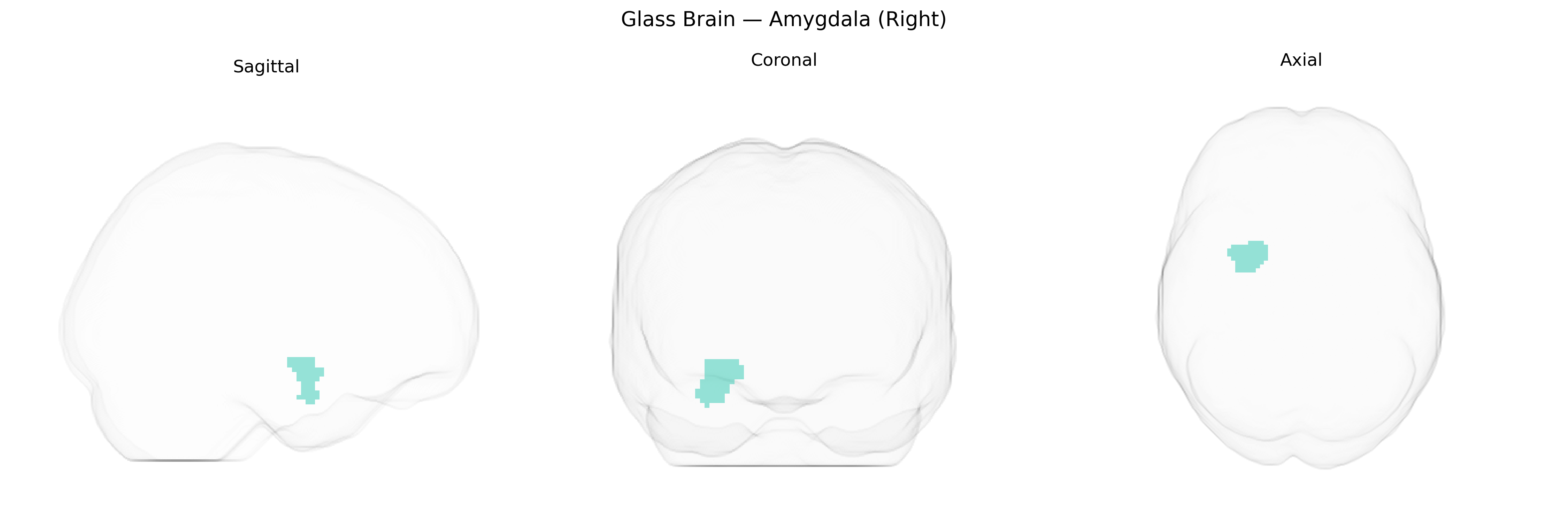 Triplanar Ghost Brain