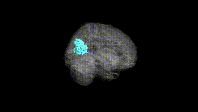 Full Brain Black