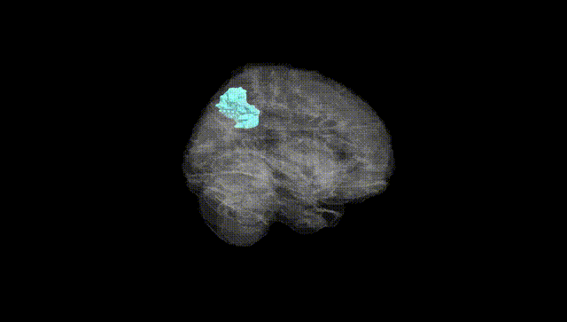 Full Brain Black