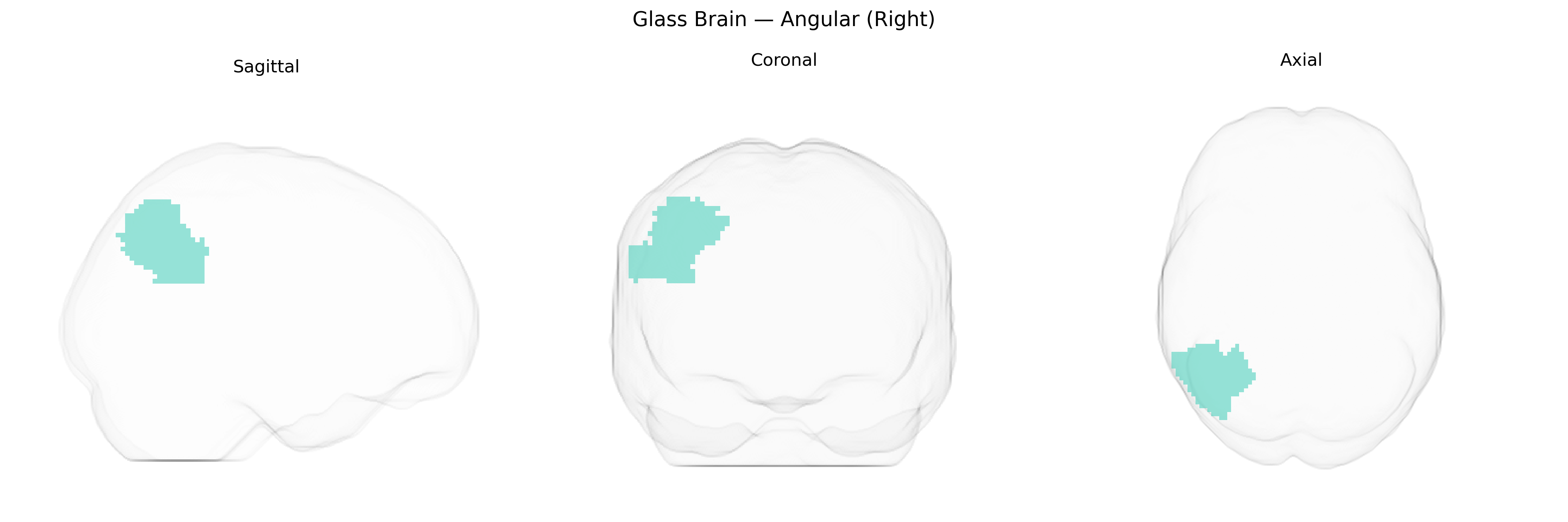 Triplanar Ghost Brain