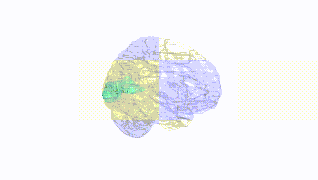 Hemisphere White