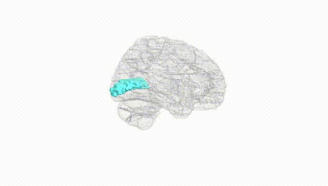 Hemisphere White