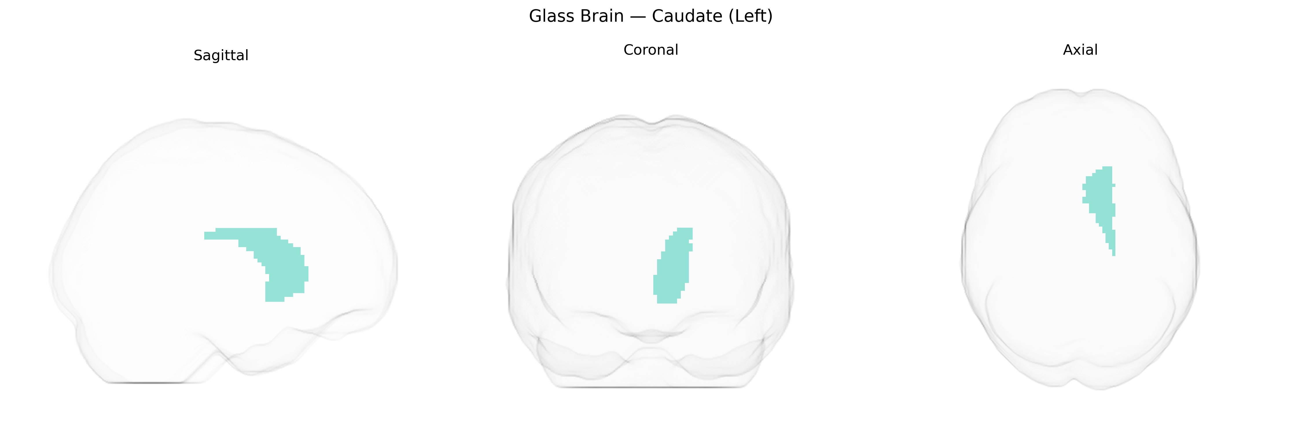 Triplanar Ghost Brain
